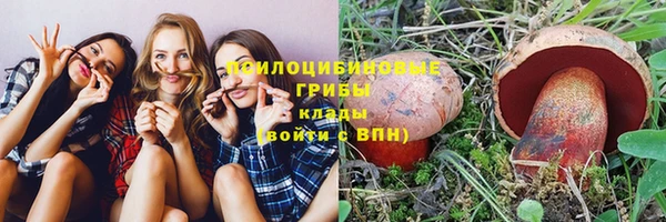 крисы Коряжма