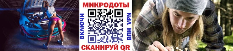 Галлюциногенные грибы Psilocybine cubensis  Купить где  Ивангород 